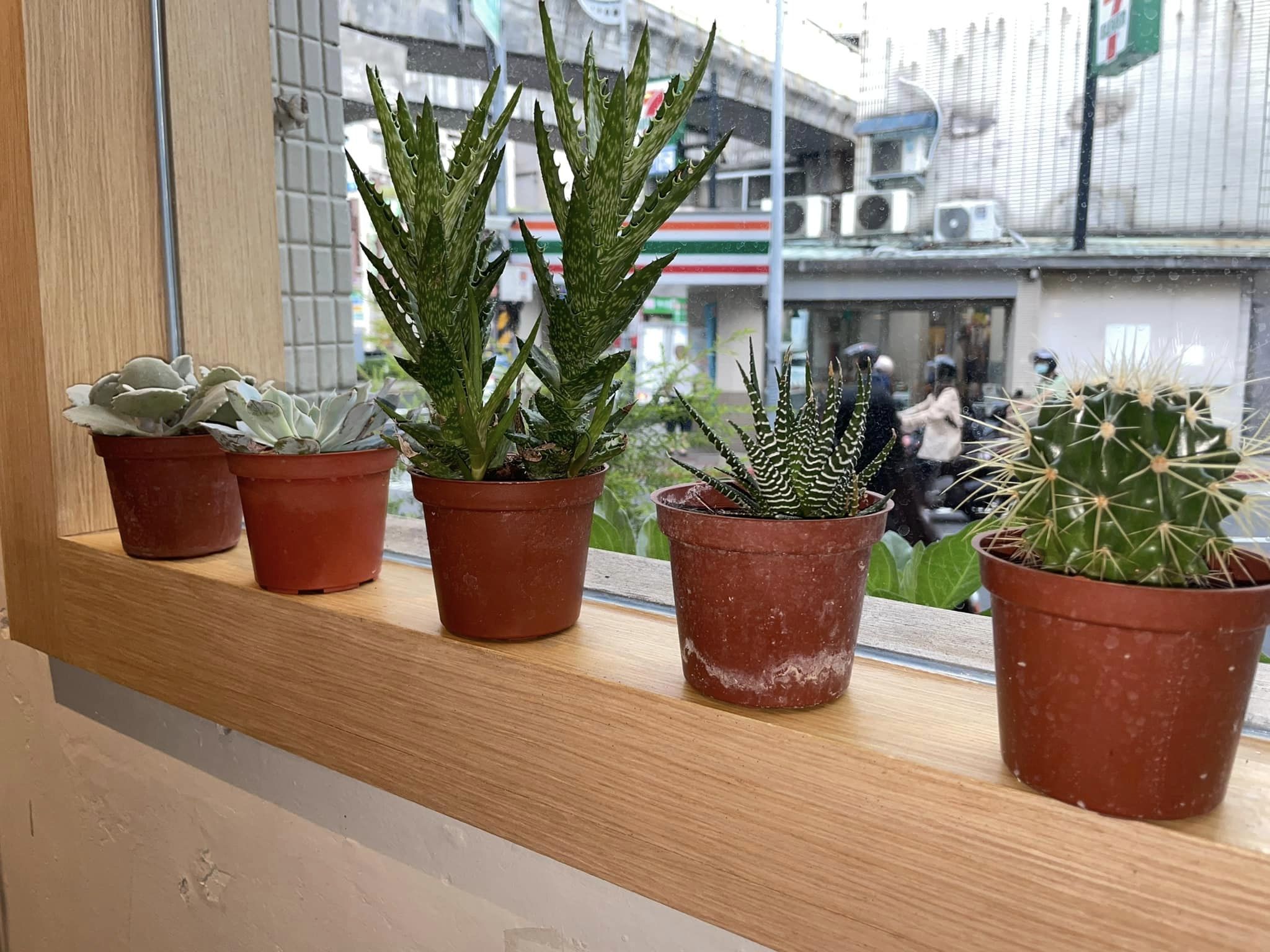 植膳