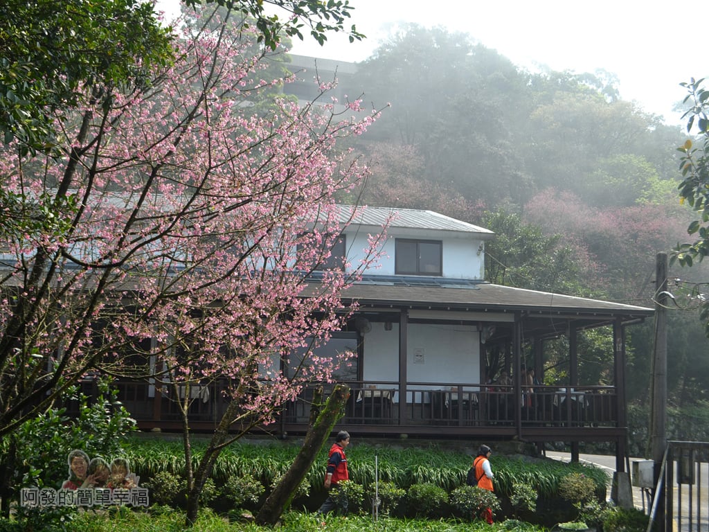 珍饌玉膳素食餐廳