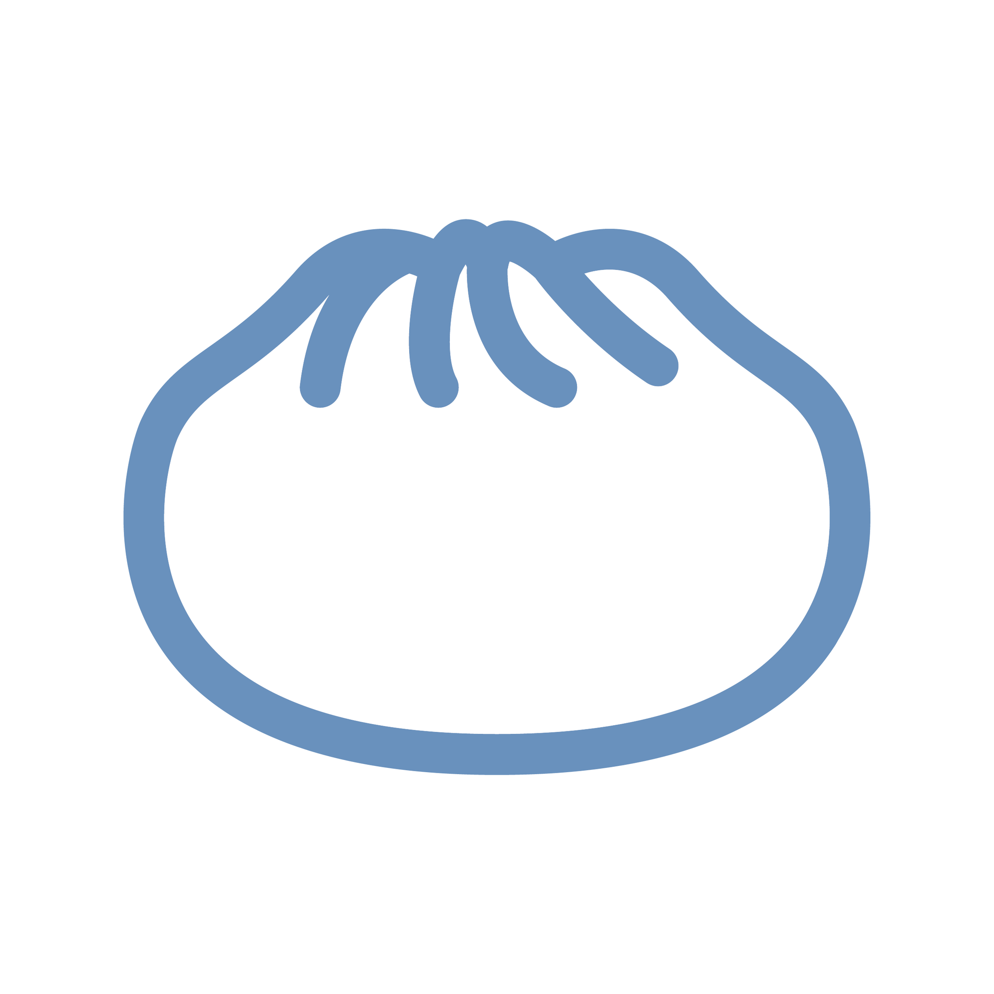 Space Bao 宇宙生煎