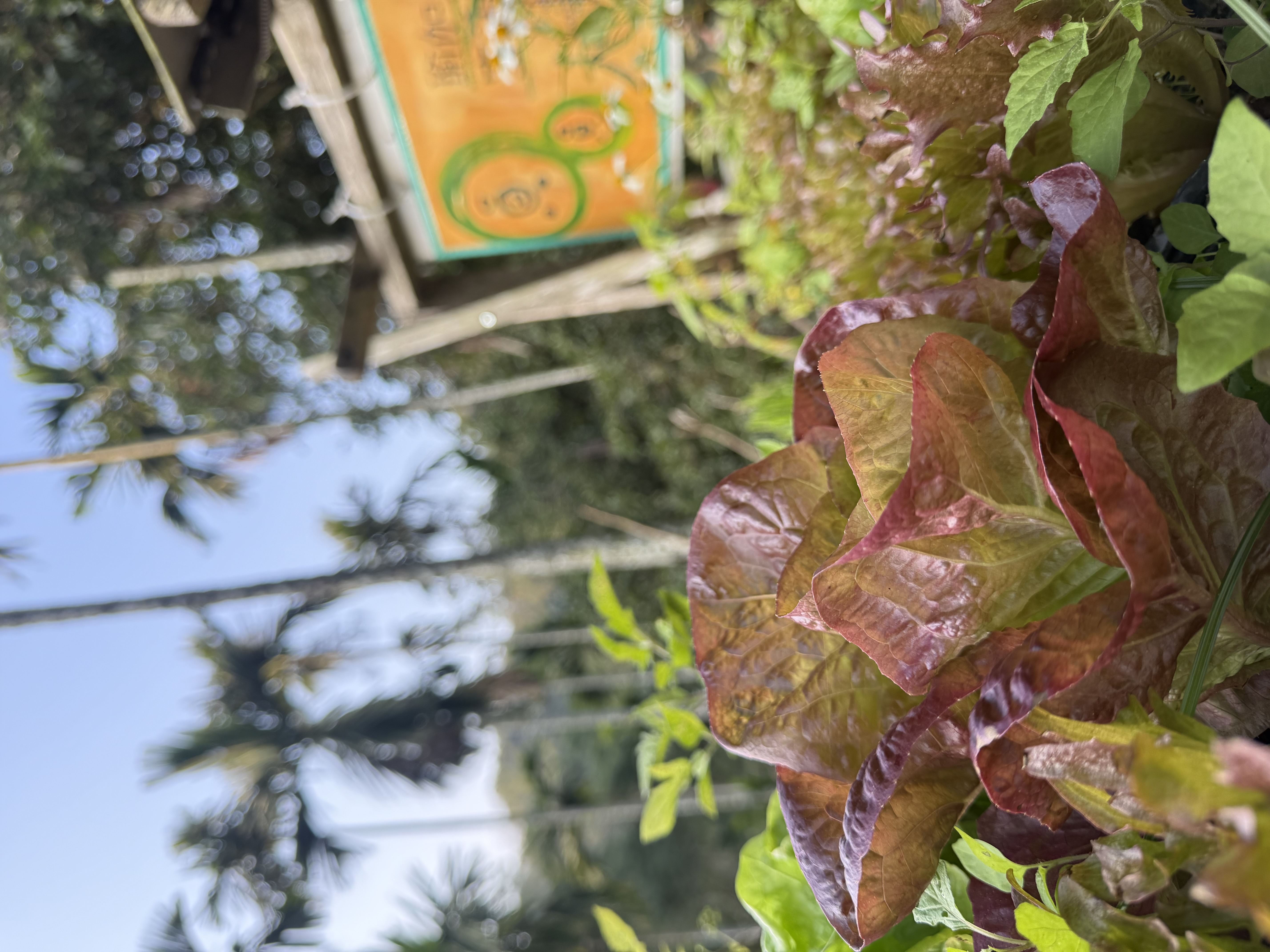 圓圓夫妻瑜伽生活