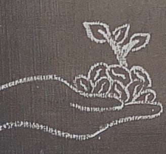 Seeds Vegan Cafe
