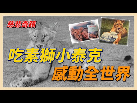 YouTube 视频
