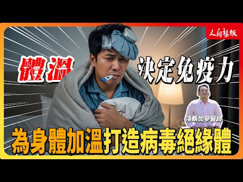 YouTube 视频