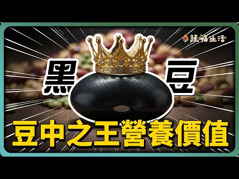 YouTube 视频