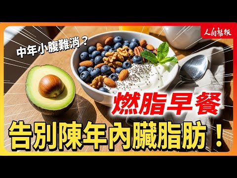 YouTube 视频