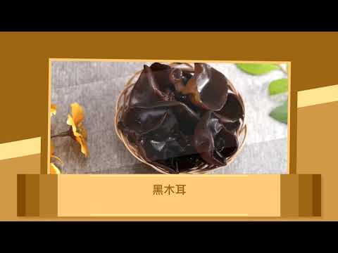 YouTube 视频