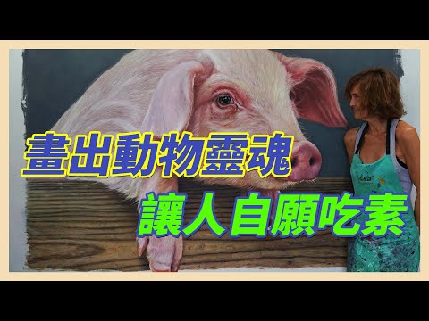YouTube 视频