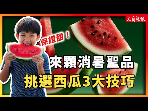 YouTube 视频