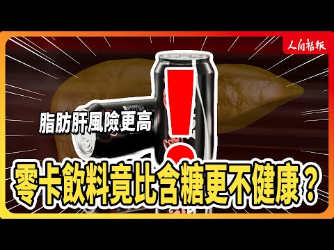 YouTube 视频