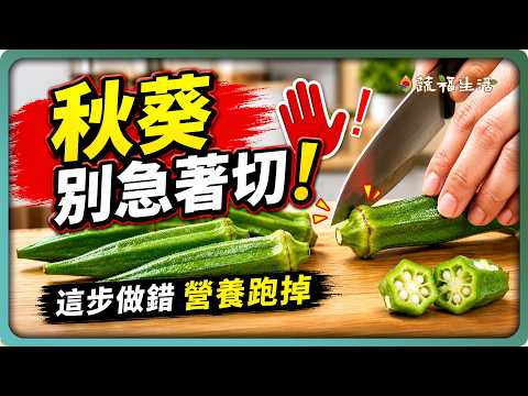YouTube 视频