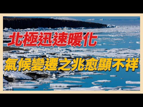 YouTube 视频