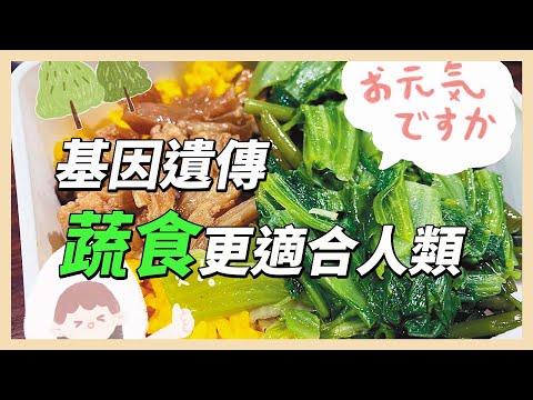 YouTube 视频