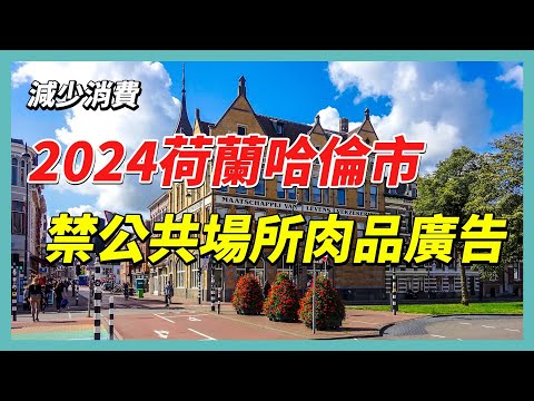 YouTube 视频