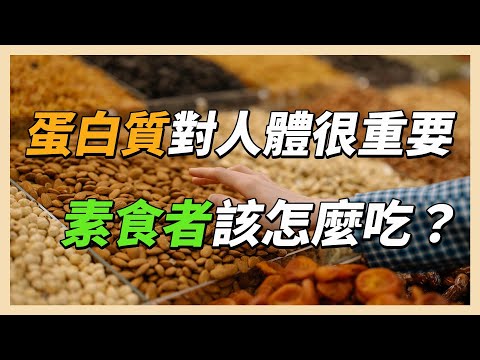 YouTube 视频