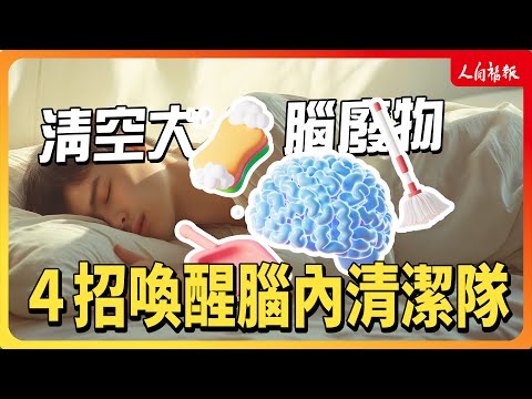YouTube 视频