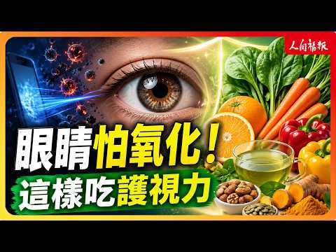 YouTube 视频