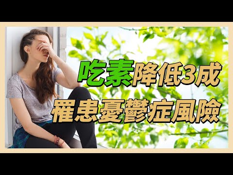 YouTube 视频