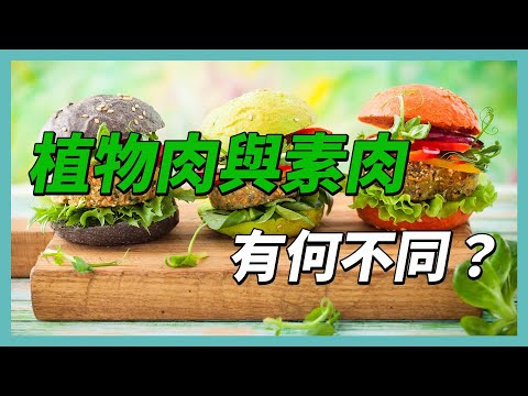 YouTube 视频