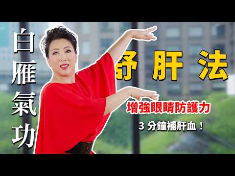 YouTube 视频