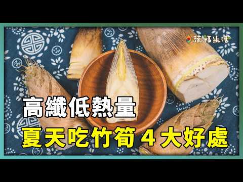YouTube 视频
