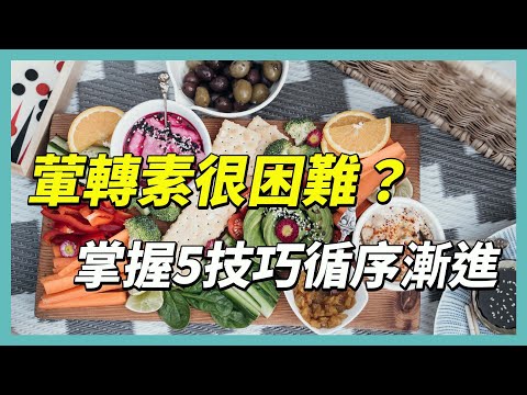 YouTube 视频