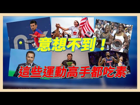 YouTube 视频