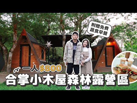 YouTube 视频