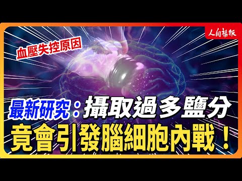 YouTube 视频