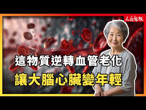 YouTube 视频