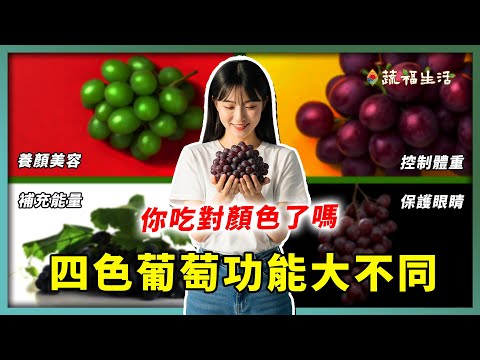 YouTube 视频
