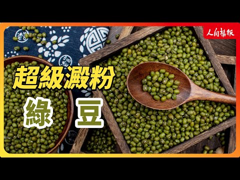 YouTube 视频