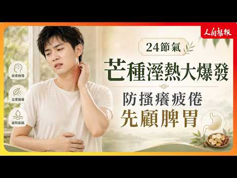 YouTube 视频