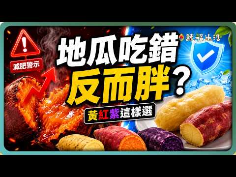 YouTube 视频