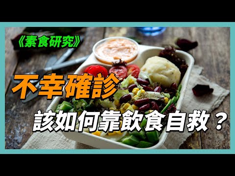 YouTube 视频