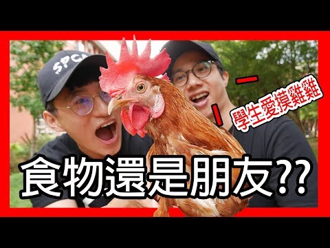 YouTube 视频