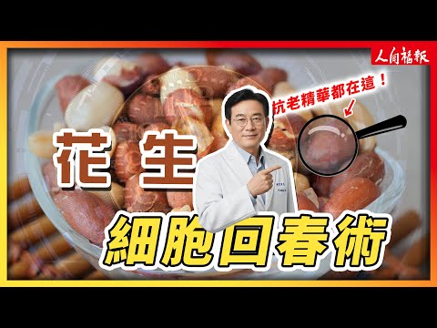 YouTube 视频