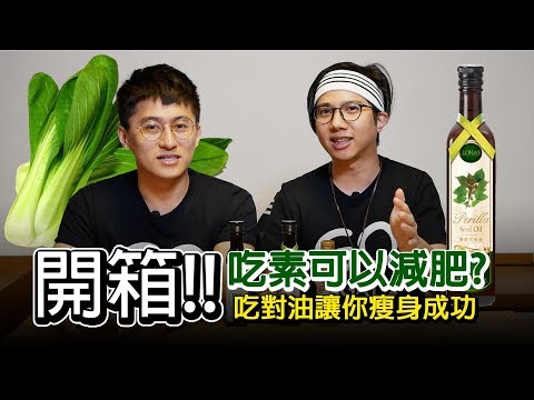 YouTube 视频
