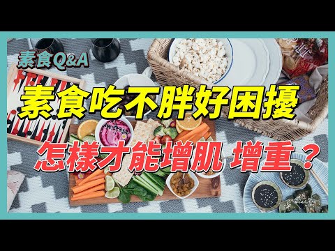YouTube 视频