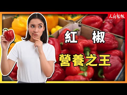 YouTube 视频