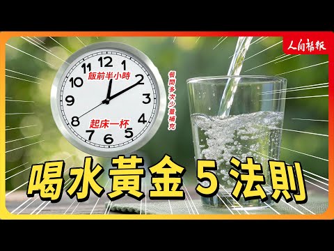 YouTube 视频