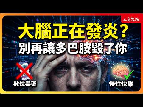 YouTube 视频