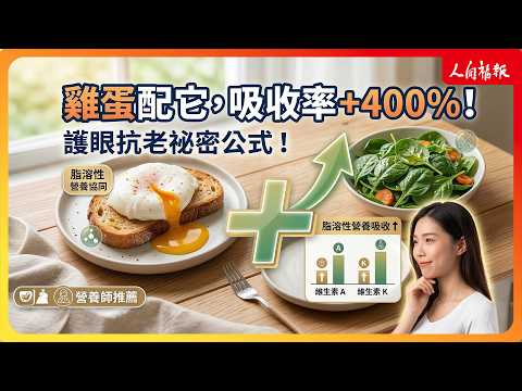YouTube 视频
