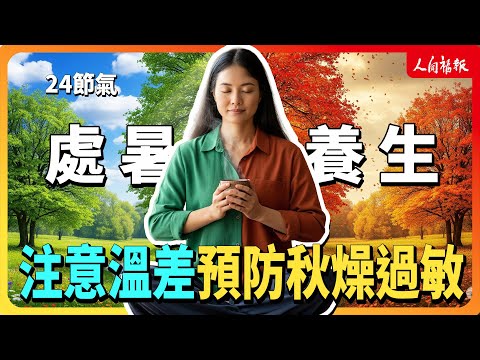 YouTube 视频