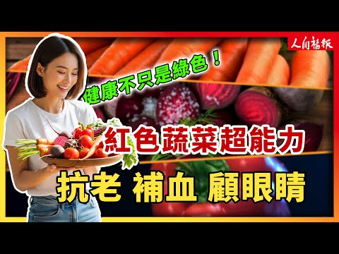 YouTube 视频