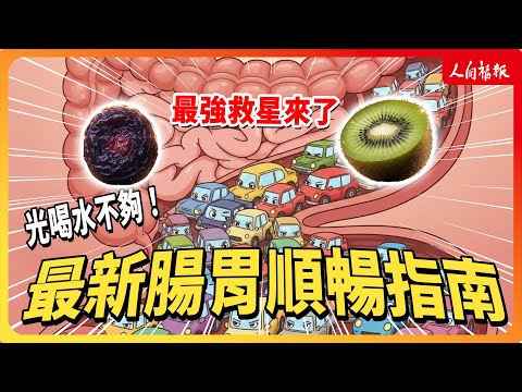 YouTube 视频