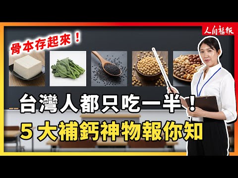 YouTube 视频
