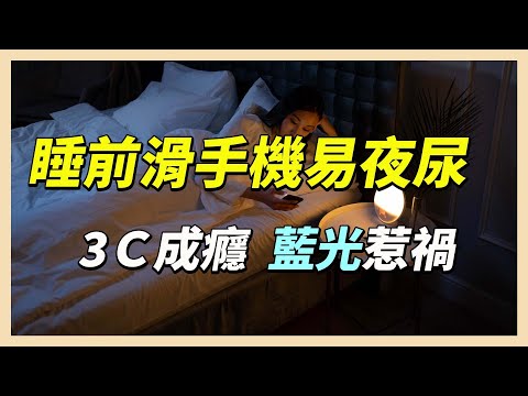 YouTube 视频