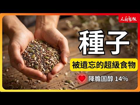 YouTube 视频