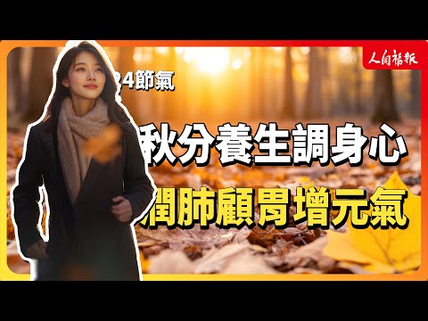 YouTube 视频