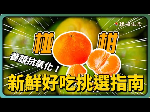 YouTube 视频